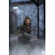 Game of Thrones Action Figure 1/6 Eddard Stark 32 cm